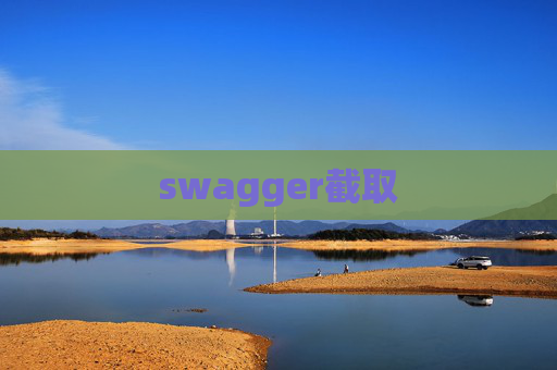 swagger截取